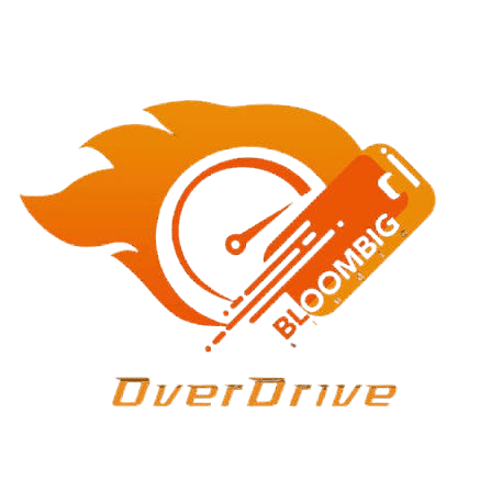 BloomBig Overdrive